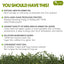 Premium Sencha Green Tea Bags - 100% Natural & Pure