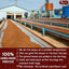 Premium Red Rooibos Tea Bags - 100% Natural & Pure