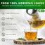 Premium Horsetail Leaf Tea Bags - 100% Natural & Pure