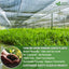 100% Pure Dried Pandan Leaves - Natural Flavoring Powder