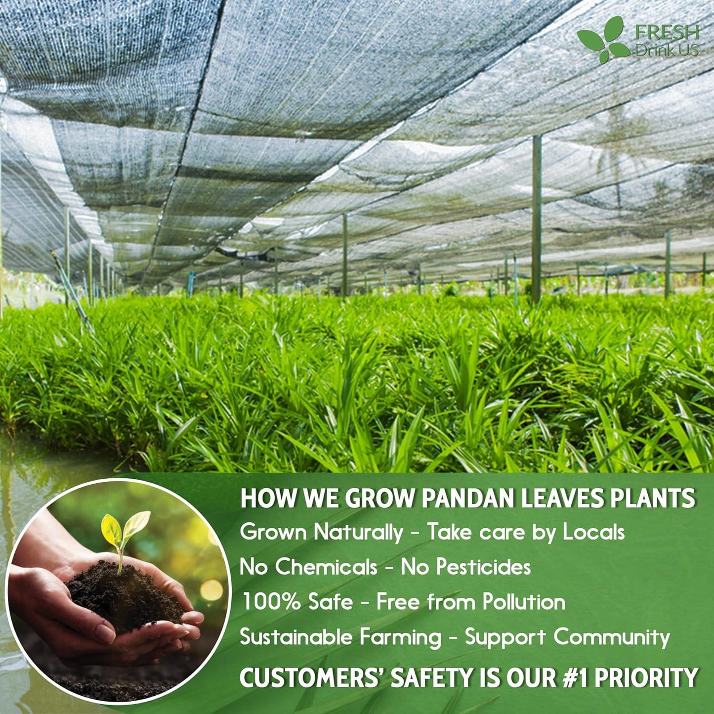 100% Pure Dried Pandan Leaves - Natural Flavoring Powder