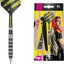 Precision Performance: DIMITRI VAN DEN BERGH 80% Tungsten Steel Tip Darts - Korvel