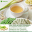 Lemongrass Tea Bags, 100% Natural & Pure Lemongrass leaves, Eco-Conscious Tea Bags, Lemongrass Herbal Tea. Lemongrass Leaf Tea. No Sugar, No Caffeine, No Gluten, Vegan. - Korvel