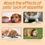 Pet Drops For Every Pets, Energizing And Nourishing Pet Health Care Drops - Korvel