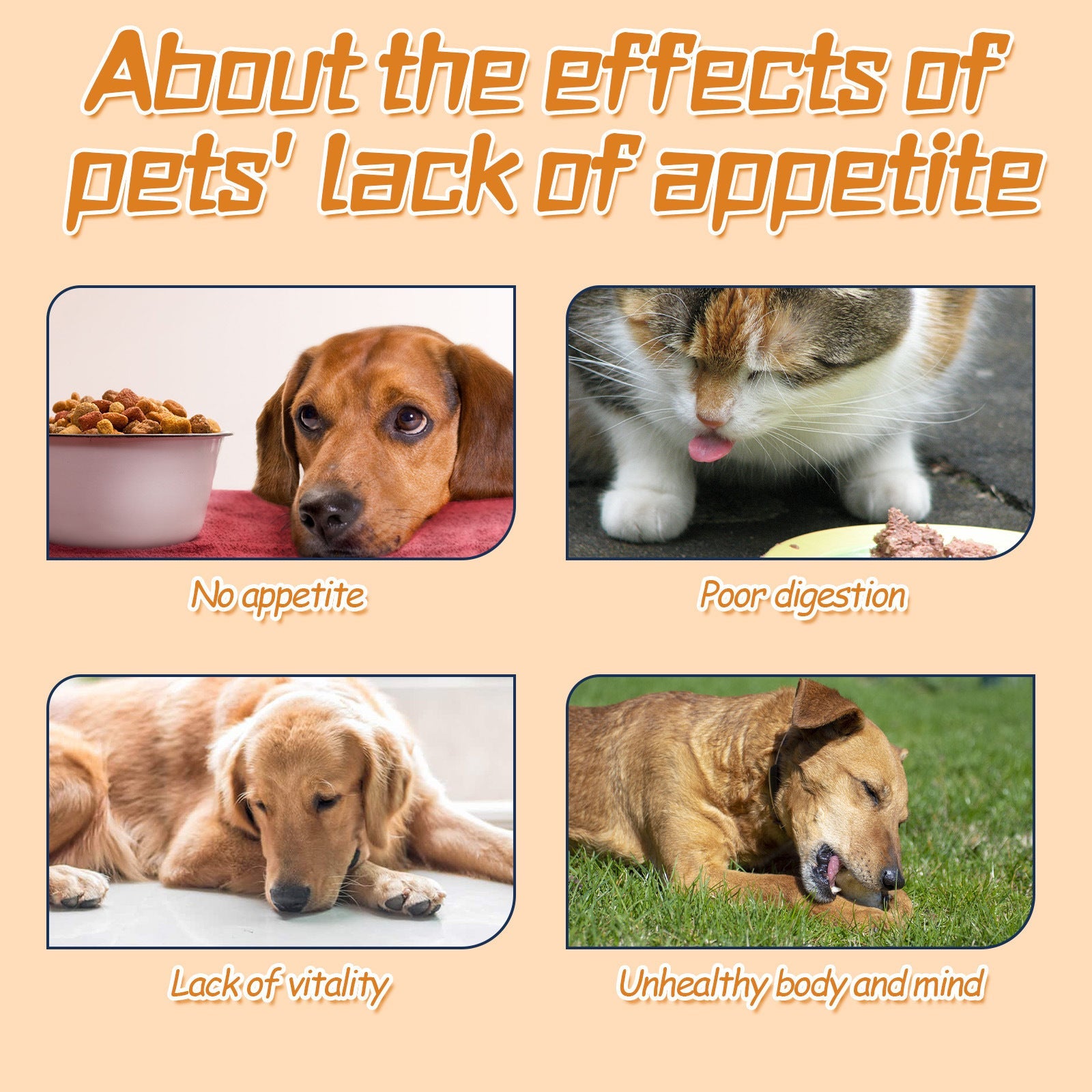 Pet Drops For Every Pets, Energizing And Nourishing Pet Health Care Drops - Korvel