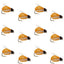 LaFontaine Amber Deep Sparkle Caddis Pupa - 1 Douzaine de Mouches Taille 14