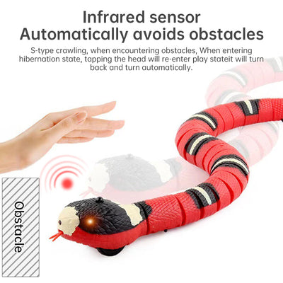 USB Rechargeable Interactive Cat Toy with Smart Sensing, an Automatic Electronic Snake for Kittens' Indoor Play. - Korvel