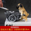 Puppy ashtray creative personality trend anti-fly ash home living room office anti-smoke resin ornaments - Korvel