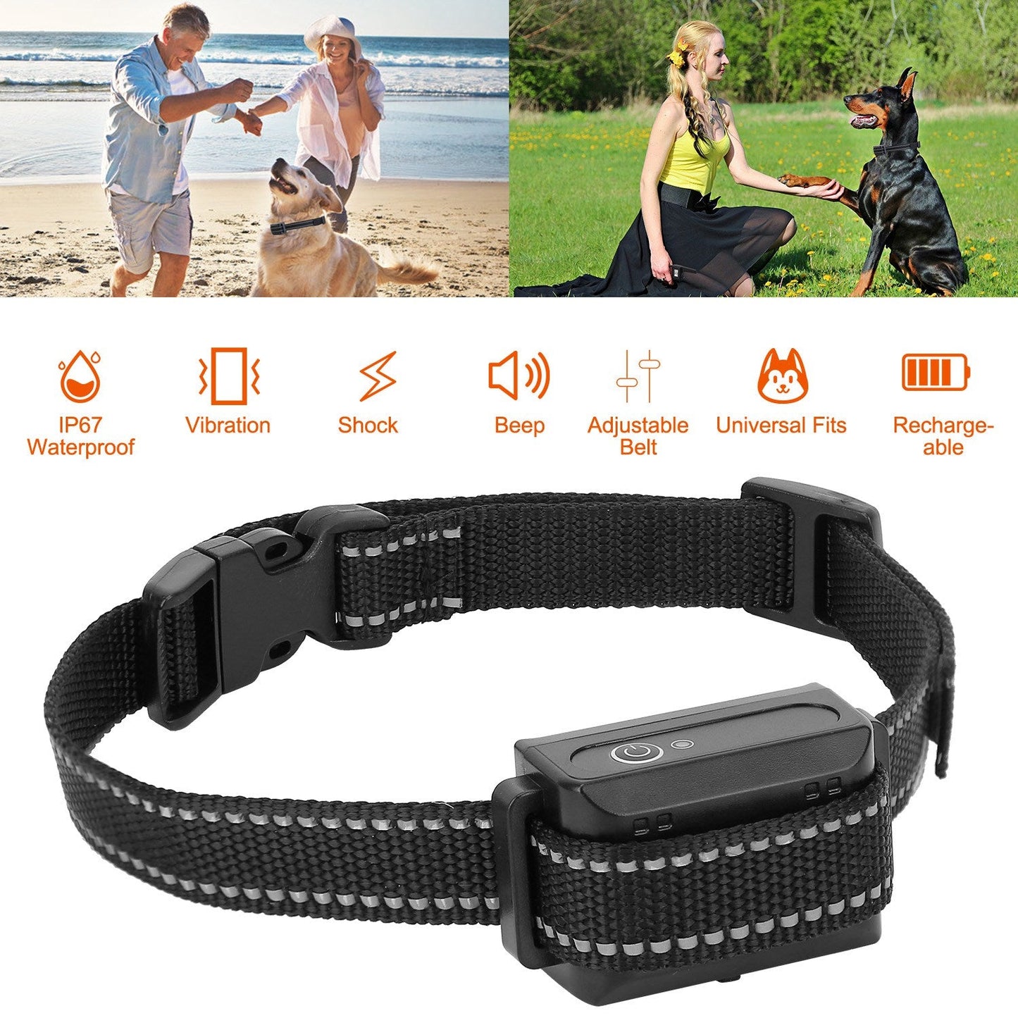 Récepteur de collier de dressage pour chiens GBruno Premium