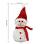 GlowFest Christmas Lawn Lights - Korvel