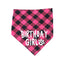 Pet Birthday Set  Triangle Scarf Hat Pet Party Decoration Styling Outdoor Creative - Korvel