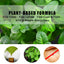 Peppermint Pet Repellent Spray, Dog Mite Spray Pet Mite Fungus Spray For Cats And Dogs - Korvel