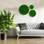 Round Framed Moss Wall Decor, only the Large - Korvel