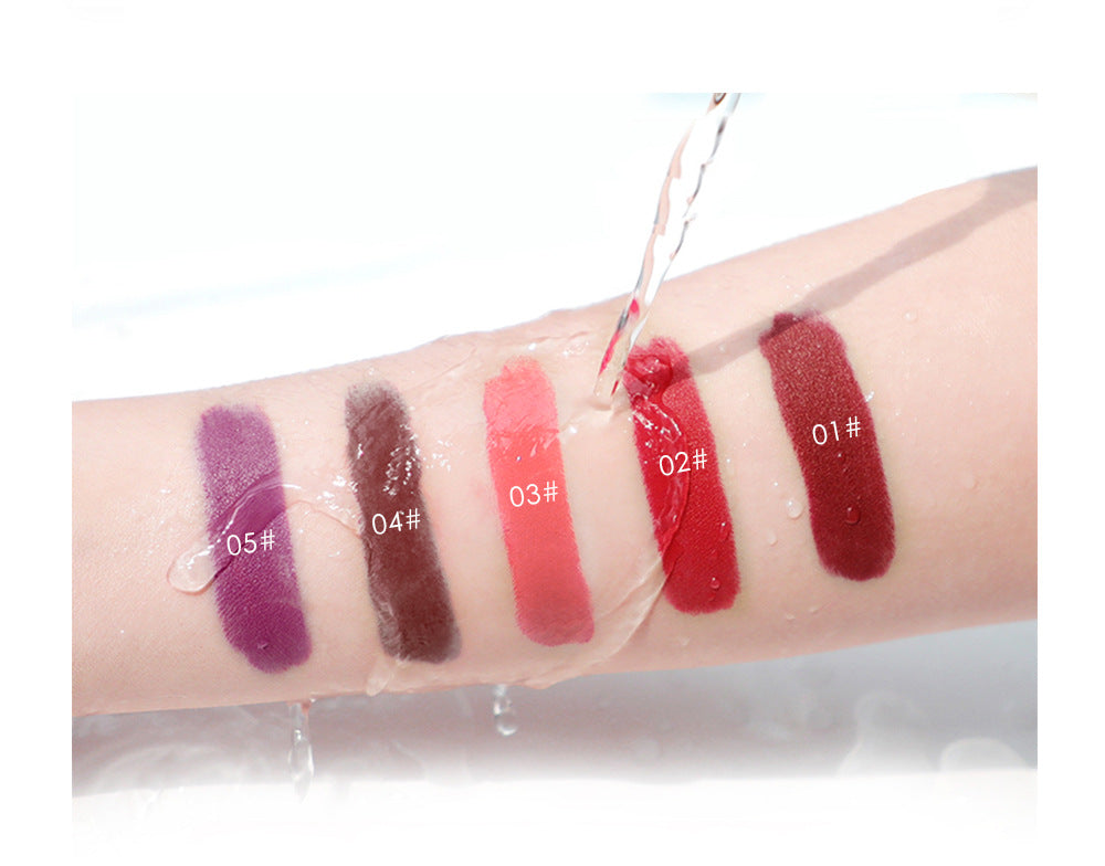 Niceface New Matte Non-Stick Cup Lip Glaze Set With Lip Plumper Texture Lip Gloss - Korvel