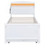 Cama Plataforma Elegante de Tamaño Twin con Almacenamiento y Cabecera LED