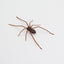 Plastic Spider as Decoration - Novelty Ornament - Korvel