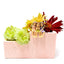 Creative Flower Fairy Pot Decoration for Your Garden
