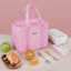 Premium Insulated Lunch Bag for Commuters