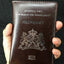 Netherlands Passport Cover Soft Pu leather New holland Women Covers For Passport Holder Nederlanden Dutch Nederland paspoort - Korvel