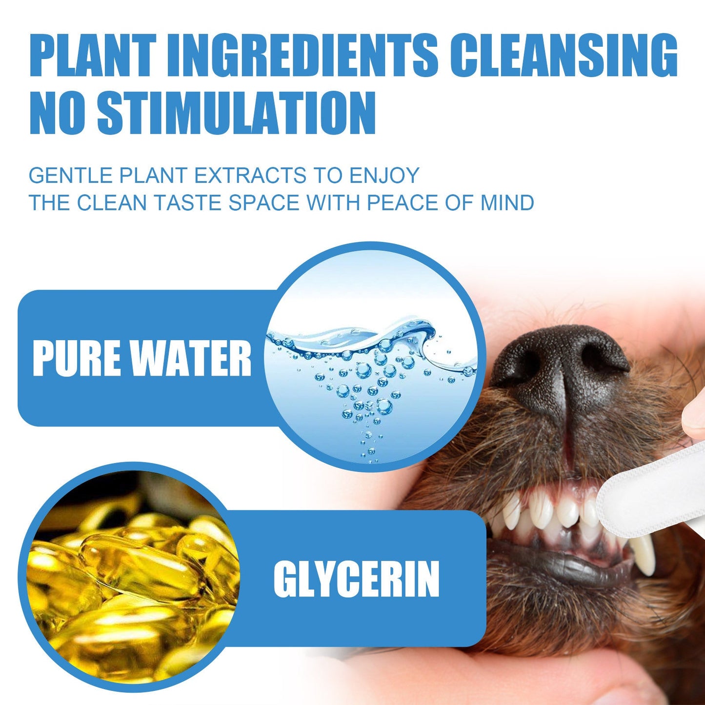 Premium Pet Dental Finger Wipes for Fresh Breath