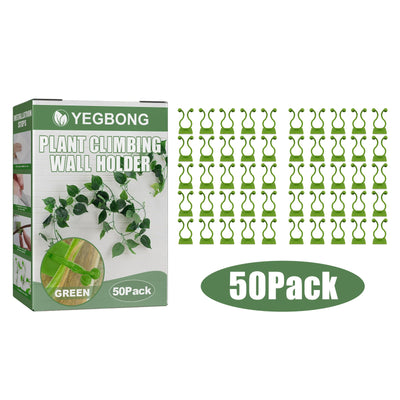 Plant Climbing Wall Holder - Self-Adhesive Support for Vines