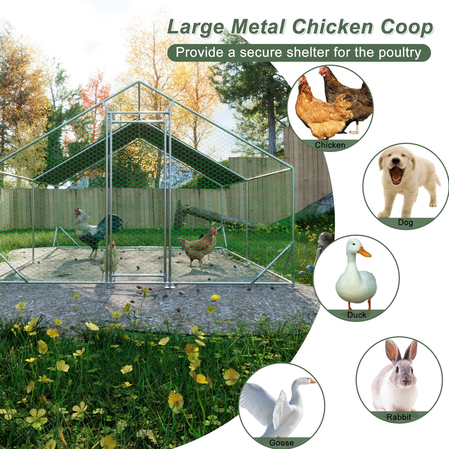 Large metal chicken cage, galvanized iron ribbon waterproof and UV resistant cover (10 'long x 13' wide x 6.56 'high) - Korvel