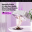 3D Support ModeDual-Arm Triaxial ACRYLIC Phone Holder - Korvel