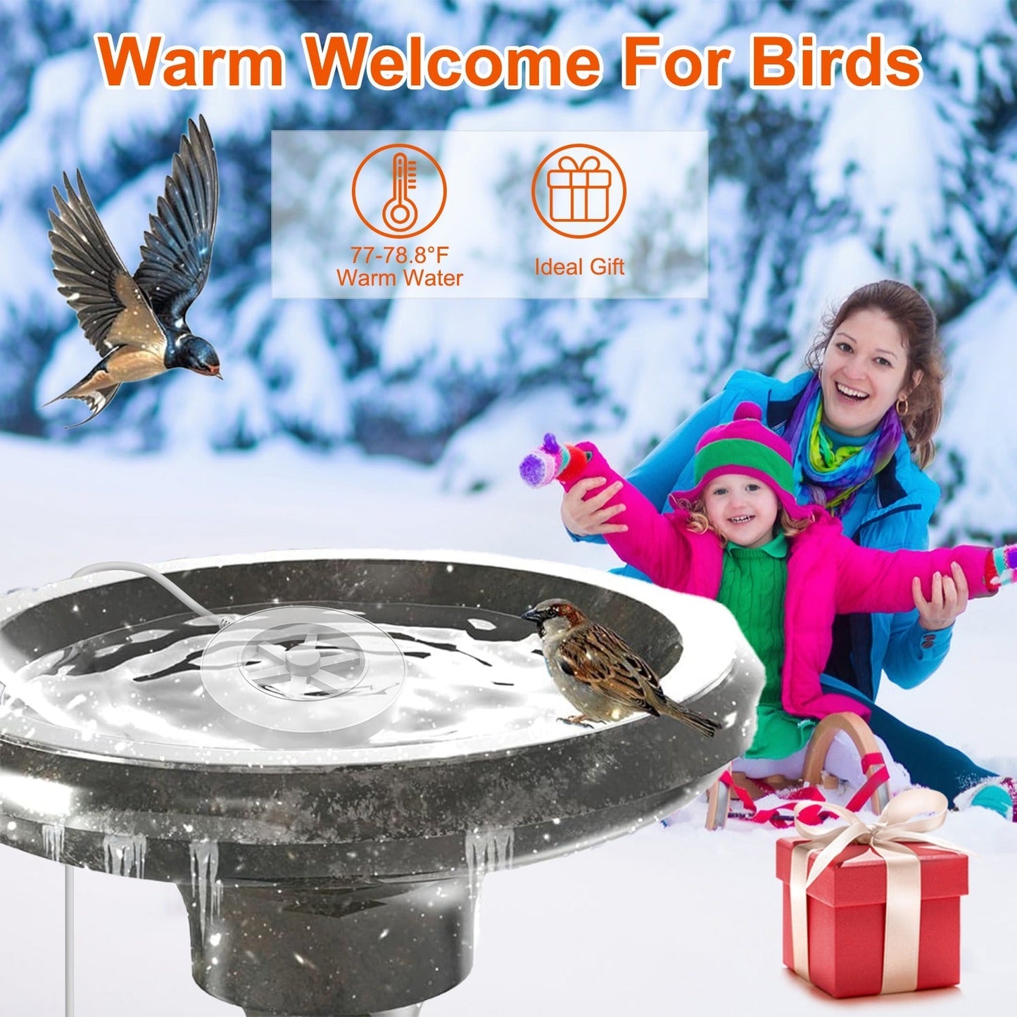 GBruno 70W Bird Bath Heater