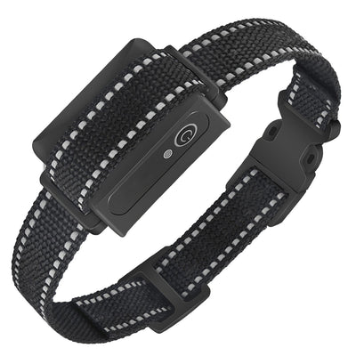 GBruno Premium Dog Training Collar Receiver
