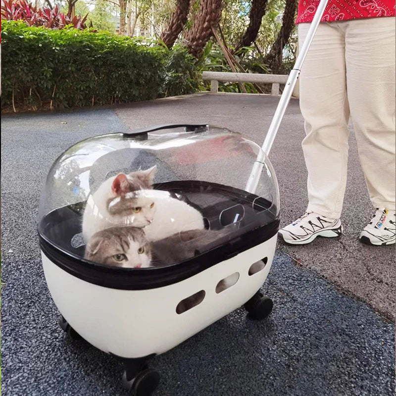 Transporteur de voyage en capsule transparente pour animaux de compagnie