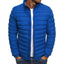 Veste en duvet en coton pour hommes pour l'automne et l'hiver