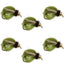 LaFontaine Olive Deep Sparkle Caddis Pupa - Mouches Taille 16 (Paquet de 6)