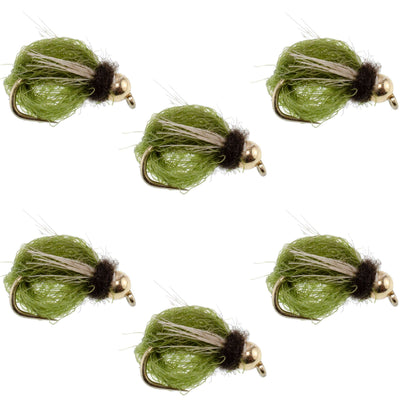 LaFontaine Olive Deep Sparkle Caddis Pupa - Mouches Taille 16 (Paquet de 6)