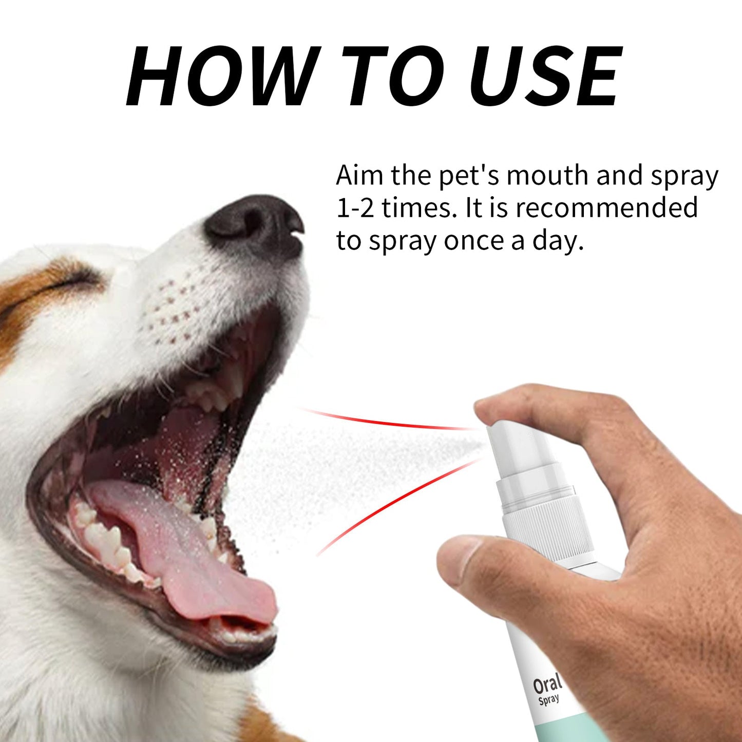 Mint Fresh Breath Spray for Dogs - Premium Oral Care