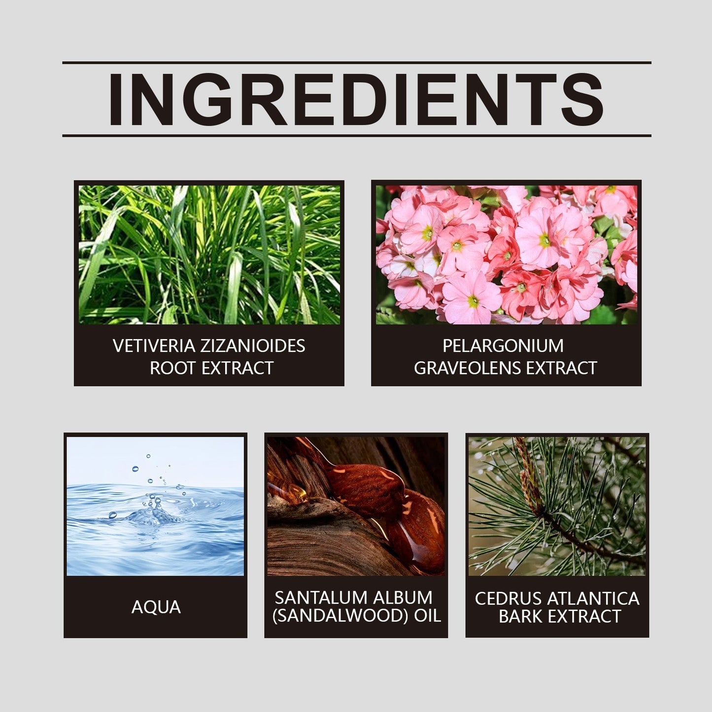 Geranium Inspired Perfume Unique Floral Fragrance Light Fragrance Light Fragrance Elegant Hormonal Fragrance Niche Perfume - Korvel