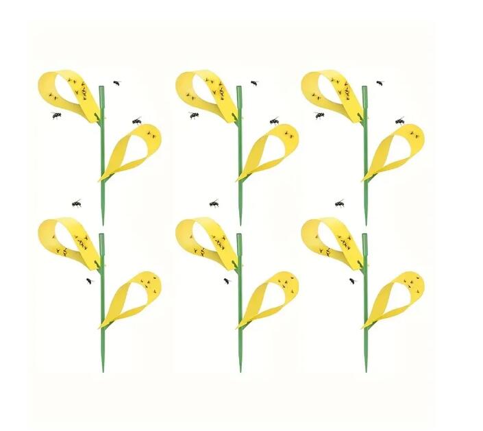 Pièges collants jaunes pour plantes d'intérieur