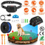 Système de clôture électronique pour chien GBruno