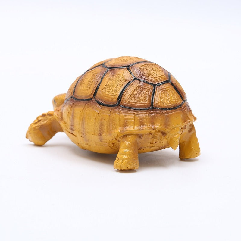 Turtle Brazilian turtle pet resin ornaments - Korvel