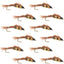 Premium Double Bead Pheasant Tail Nymph Flies - 12 Pack, Size 14 - Korvel