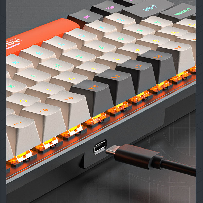 Customized Mechanical Keyboard with Multiple Switch Options