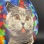 Fuzion Judge - DyeMax - Space Kitty Trippin Disco Golf Putter