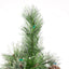 Árbol Mezclado de Cachemira y Pino Nieve de 7' con 900 Luces LED