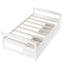 Elegant Twin Size Platform Bed with Two Drawers - White