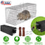 Humane Live Cat Trap Cage with Waterproof Cover