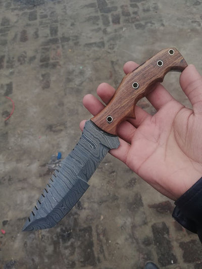 Premium Custom Damascus Tanto Tracker Knife with Elegant Rosewood Handle - 10" Overall Length, Versatile Serrated Blade - Korvel