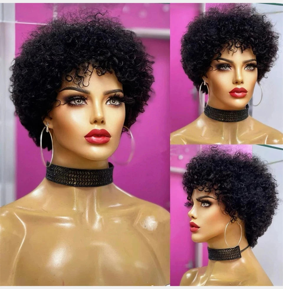 Large Bouncy Afro Kinky Curly Wigs For Black Women Glueless Pre Plucked Machine Made Wig Brazilian Virgin Remy Human Hair Wigs - Korvel