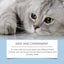 Pet Oral Care Set Gentle Cleaning Decontamination Maintenance Cleaning Solution For Cats And Dogs - Korvel