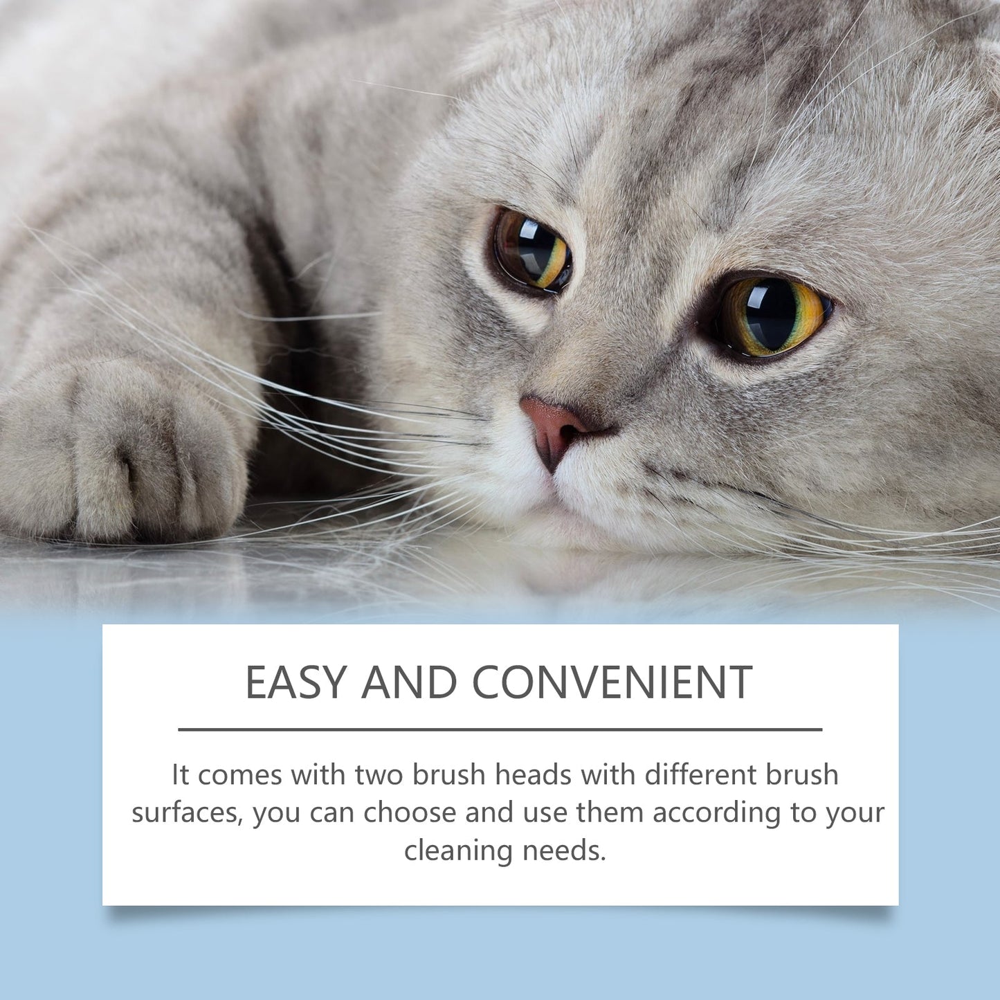 Pet Oral Care Set Gentle Cleaning Decontamination Maintenance Cleaning Solution For Cats And Dogs - Korvel