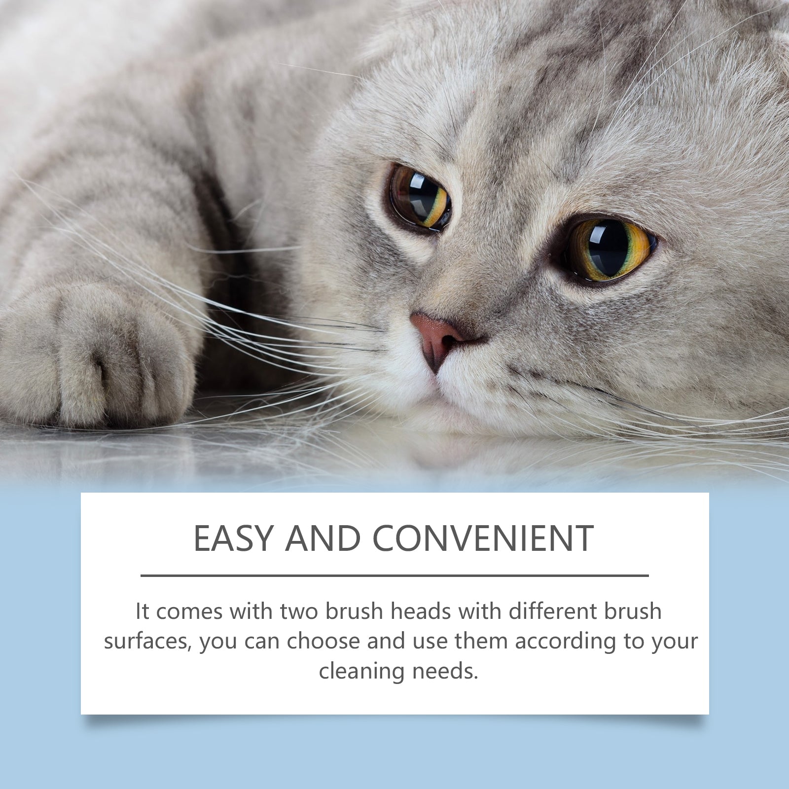 Pet Oral Care Set Gentle Cleaning Decontamination Maintenance Cleaning Solution For Cats And Dogs - Korvel
