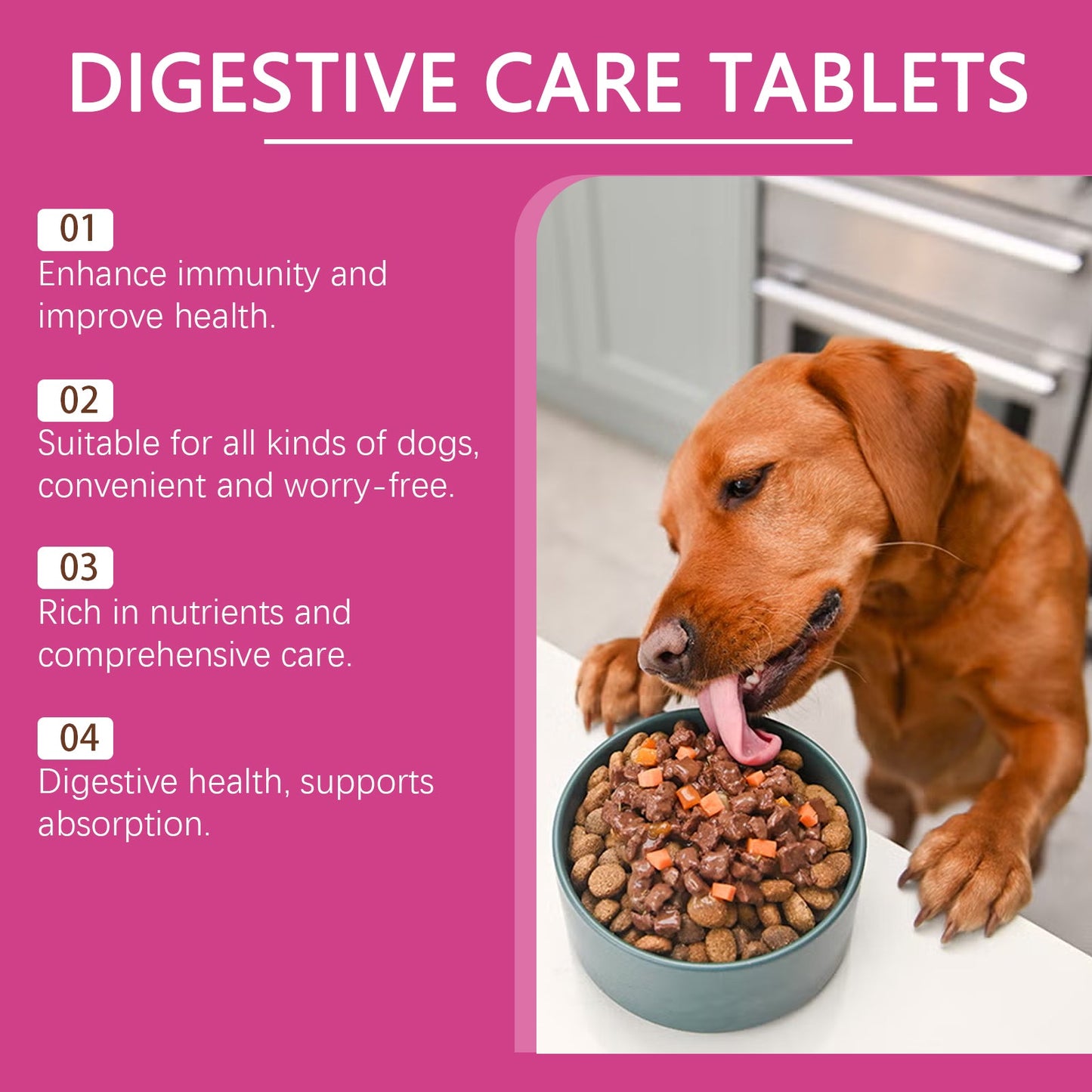 Dog Probiotic Tablets To Improve Intestinal Health, Balance Digestion And Absorption Of Pet Nutritional Supplements - Korvel